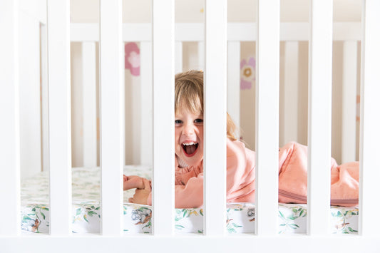 Night Terrors vs. Nightmares: Understanding the Differences and How to Deal with Them